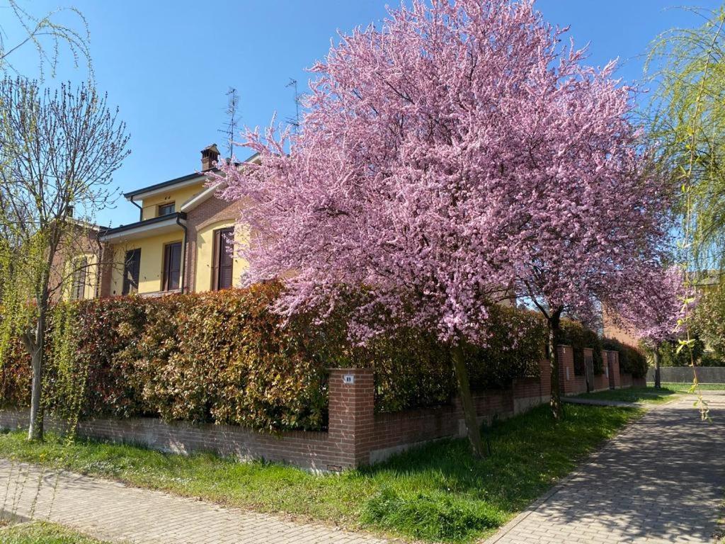 Suite Travel Home Modena Esterno foto